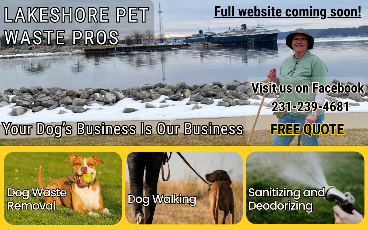 website place holder